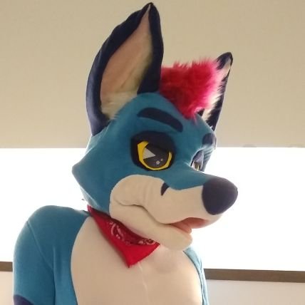 soft fox 🦊 | explosive 💥 | he/him 🍆 | hella gay 🏳️🌈 | feet 👣 | no minors 🔞