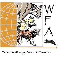 Wild Felid Research and Management Association(@WildFelidAssoc) 's Twitter Profile Photo