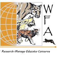 Wild Felid Research and Management Association (@wildfelidassoc) 's Twitter Profile Photo Wild Felid Research and Management Association (@wildfelidassoc) 's Twitter Profile Photo