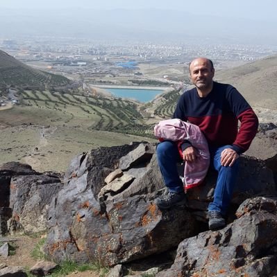 d_rezakhani's profile picture. 