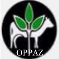 Organic Producers & Processors Association Zambia (@oppaz_org) 's Twitter Profile