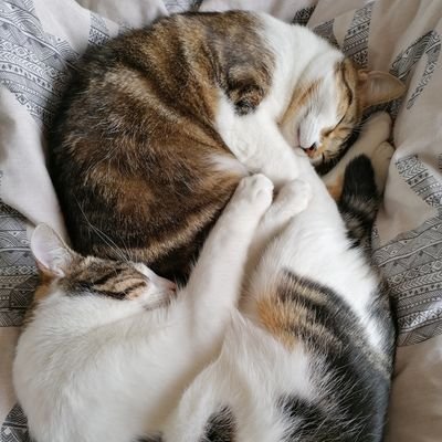 implodingme's profile picture. 