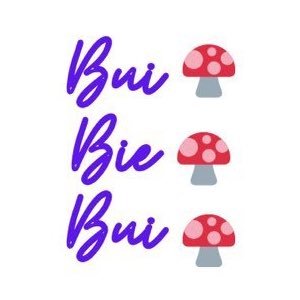 BuiBieBui_space