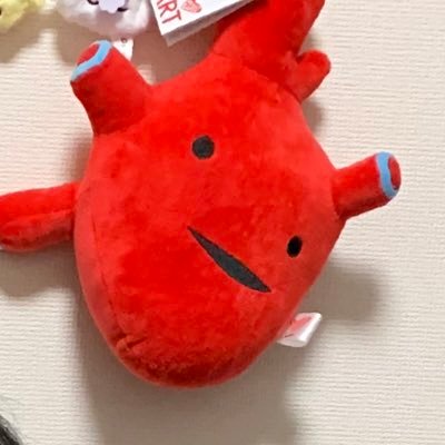臨床工学技士(CE) 主に心カテ、CIEDsに関わっています。 副業はやりません。ひな壇芸人するために芸を磨きます(ネタ)。よろしくお願いします。