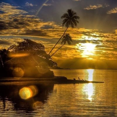 ASihien's profile picture. Environmentalist,climate change activist.'Spread peace and love towards nature,humans and etc...' Follower of 'greta thunberg',யாதும் ஊரே யாவரும் கேளிர்'!.♥❤LUV