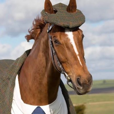 Mossimo_a's profile picture. CEO, Mechanical Engineer and Investor