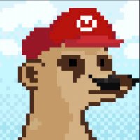 E.din (420 IQ) (@cryptocoop_) 's Twitter Profile