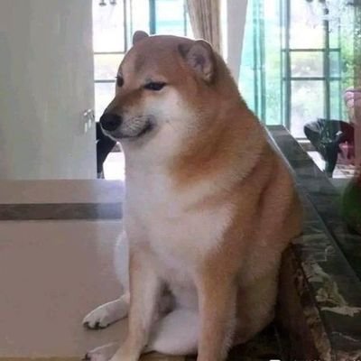 HbugSQlcVLc3ltL's profile picture. 