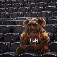 Jazz Bear(@utahjazzbear) 's Twitter Profile Photo