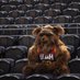 Jazz Bear (@utahjazzbear) Twitter profile photo