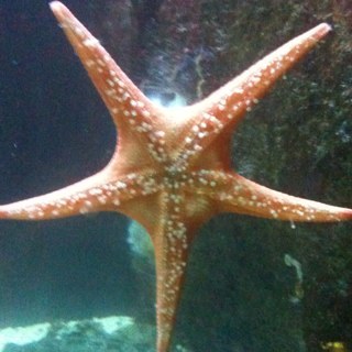 wiscobiker's profile picture. 