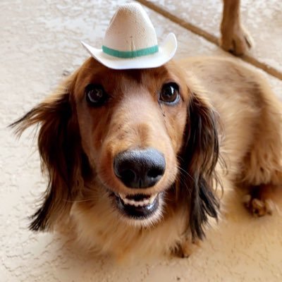 VictorVerasteg8's profile picture. 