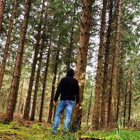 Ecoplan Forestry(@EcoplanForestry) 's Twitter Profile Photo