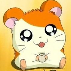 tiny___ji's profile picture. follow @tiny__ji instead don't req here this is a backup