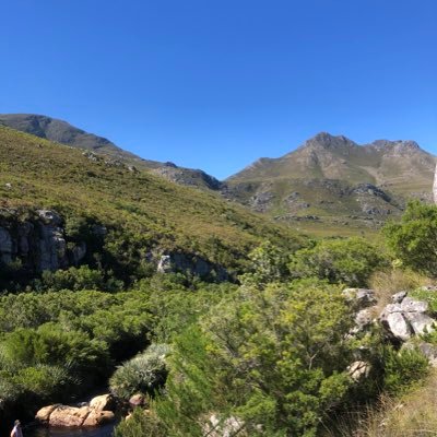 footballthough8's profile picture. My thoughts