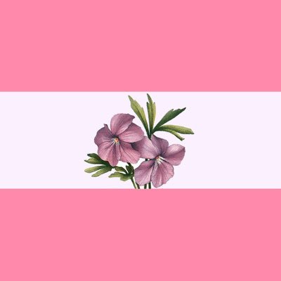 favoritesapphicsさんのプロフィール画像