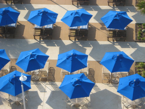 roseannpltdhq's profile picture. I'm in the Events Department at LTD as the Events Specialist.