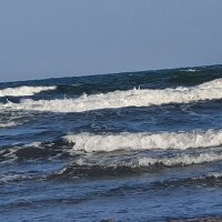 ابوعمرالحوثري (@8dppyytcbkr0hzu) 's Twitter Profile
