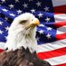 🍊Deplorable Jeff🇺🇸 (@tuckersright) Twitter profile photo 🍊Deplorable Jeff🇺🇸 (@tuckersright) Twitter profile photo