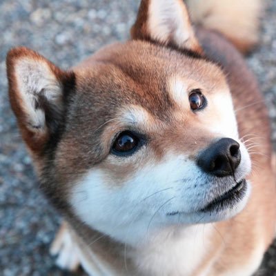 Bryan172294's profile picture. Trading, Crypto, Games