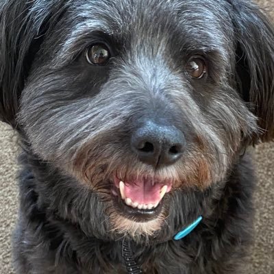 Bickerlynn's profile picture. Educated, conservative suburban woman. Quit telling me how I feel.