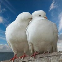 Sebrina Blakeley ❤️ Memecoin (@blakeleysebrina) 's Twitter Profile