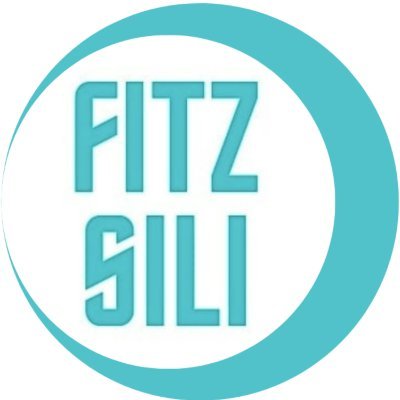FitzSili Productions is a non-profit film company, whose mission has a commitment to diversity, racial equity and inclusion.