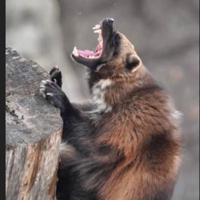 gunbugundurink's profile picture. 