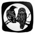 owlncrowfarm (@owlncrowfarm) Twitter profile photo owlncrowfarm (@owlncrowfarm) Twitter profile photo