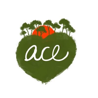 Asociación medioambiental del Aljarafe sevillano. Actividades de formación y reforestaciones participativas.

amigosdelacornisaeste@gmail.com