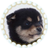 ヒミツのアイコン