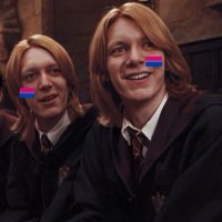 Lisa Marie / lisa loves fred and george(@wizardweasley98) 's Twitter Profileg