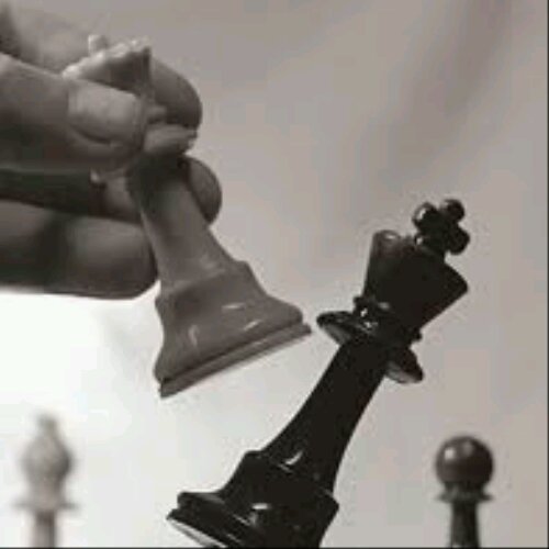 Q8CheckMate's profile picture. 