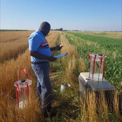 Professor of Soil Science @WKREC-Hays. Research is focused on soil management in dryland systems.