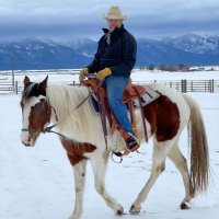 Jason Bradley (@tripalope) 's Twitter Profile