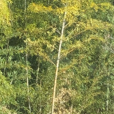 GBMObfTOg9ZFEQH's profile picture. 大切なことは3つあり、1つ目は自分の身体的健康、2つ目は精神的健康。3つめは経済的健康じゃないのかなぁ