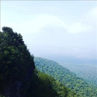 Walker Aiton ❤️ Memecoin (@walkeraiton) 's Twitter Profile