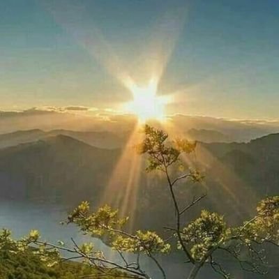 cPRtc9UePI4UKwj's profile picture. 