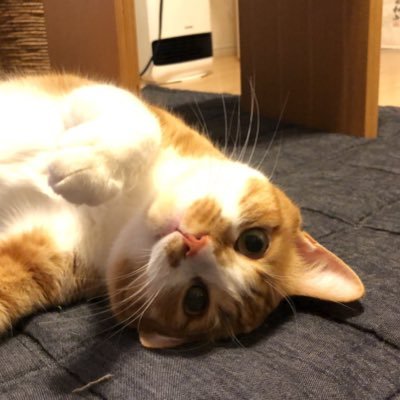 edy_ngo's profile picture. New world perspectives on Economics&Politics, Technology, Business, Fin-tech & Real Estate. MSc. of LSE. 世界の新しいパースペクティブを研究中。政治経済、テクノロジー＆ビジネス、外資不動産ファンド勤務 AFP 宅建士