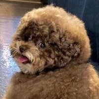 loay (@loaycr) 's Twitter Profile