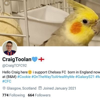 FOLLOW NEW ACCOUNT @CraigTCFC92