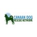 Canaan Dog Rescue Network (CDRN) (@canaandog_cdrn) Twitter profile photo Canaan Dog Rescue Network (CDRN) (@canaandog_cdrn) Twitter profile photo