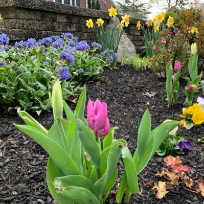 ruth_neild's profile picture. @MathematicaNow, @SociologyatPenn, @BrynMawrCollege. Loves books, gardens, dogs, thrift stores, family. All views my own.