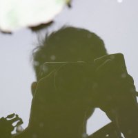 Firefox (@ycbbbbb) 's Twitter Profile