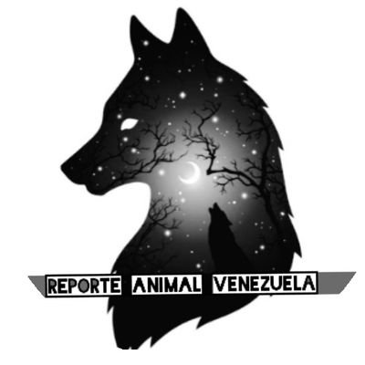 Reporte Animal Venezuela