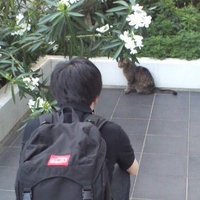 Takashi Takahashi / 髙橋昂 (@takaaomidoro) 's Twitter Profile Photo Takashi Takahashi / 髙橋昂 (@takaaomidoro) 's Twitter Profile Photo