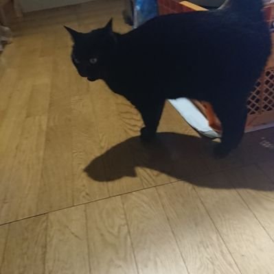 skrzer Profile