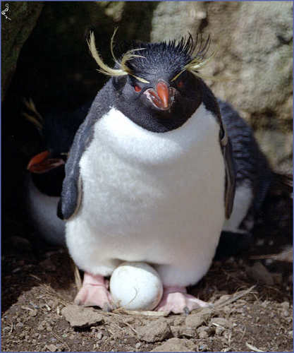 DadOfEgg's profile picture. 