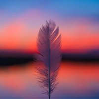 Shayri World 🦋 (@world_shayri) 's Twitter Profile