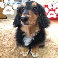 こつ (@tmsna3) 's Twitter Profile